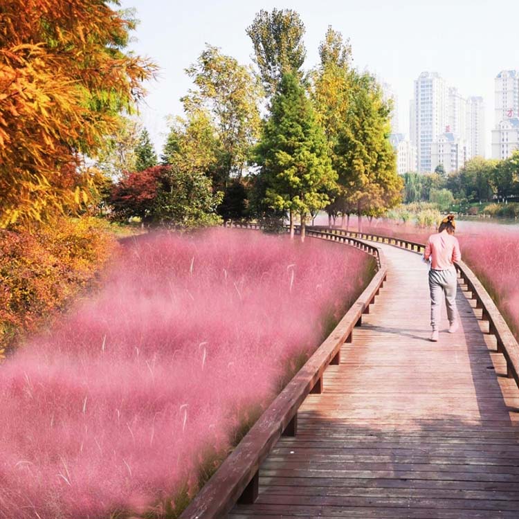 高新區(qū)廖河公園